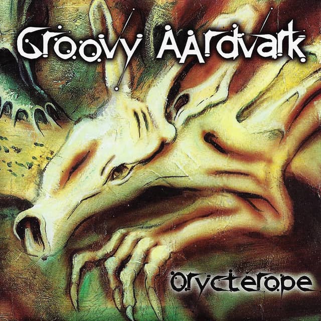 Groovy Aardvark
