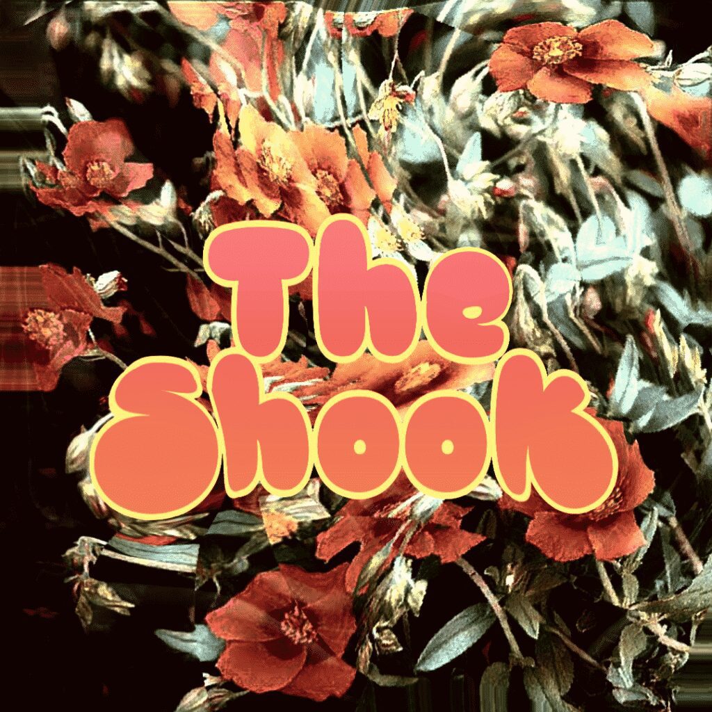 The Shook Blues Rock Project